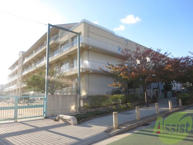 小学校　神戸市立灘小学校（小学校）まで272m