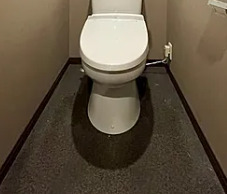 トイレ　※別部屋の参考写真です。