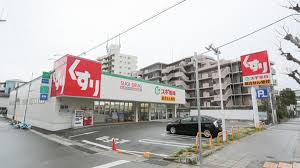 ドラックストア　スギ薬局 大石店（ドラッグストア）まで493m