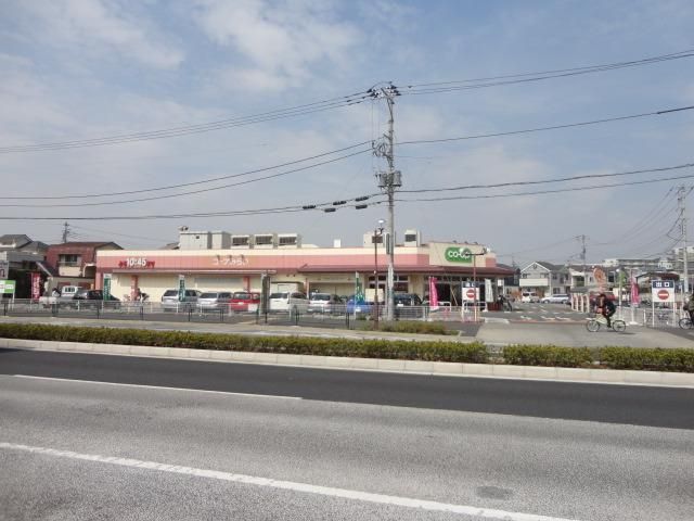 その他　コープとうきょう（その他）まで750m