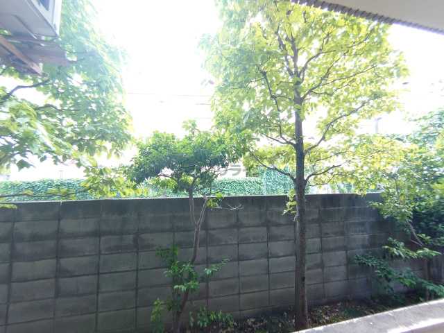 エクセル池ノ上のその他写真