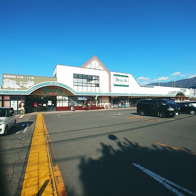 スーパー　デリシア寿豊丘店（スーパー）まで253m