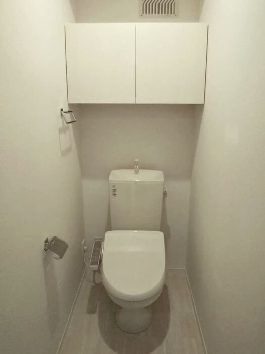近江鉄道八日市線 八日市駅 徒歩58分 2階建 築9年のトイレ写真