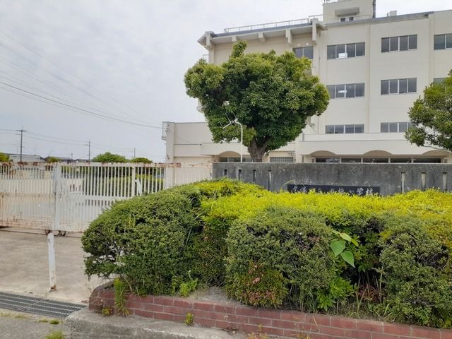 小学校　丸橋小学校（小学校）まで60m