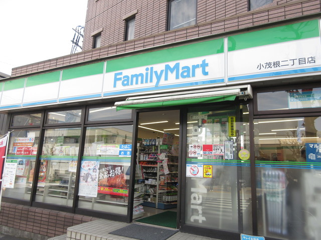 コンビニ　ファミリーマート（コンビニ）まで609m