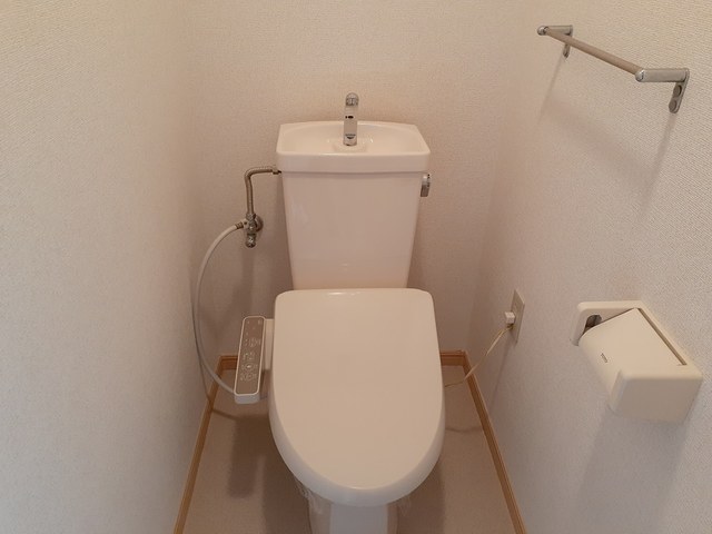 ヴェルドミールのトイレ写真