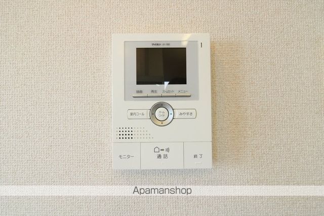 モンステラのその他写真
