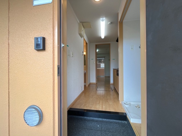 玄関　※同建物の別のお部屋の写真です。