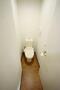 トイレ　★清潔感のあるトイレです★