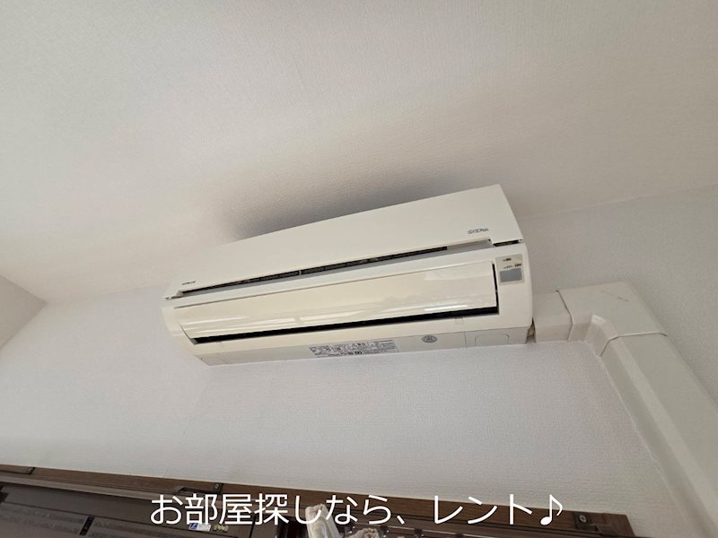 オールセインツのその他写真