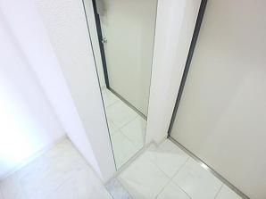 玄関　（別タイプ参考写真）ヴァレッシア椎名町駅前シティ　豊島区西池