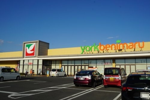 スーパー　ヨークベニマル栃木平柳店（スーパー）まで688m