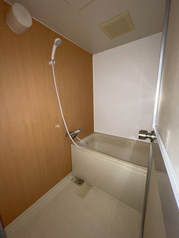 バス・シャワールーム　別のお部屋の写真です。