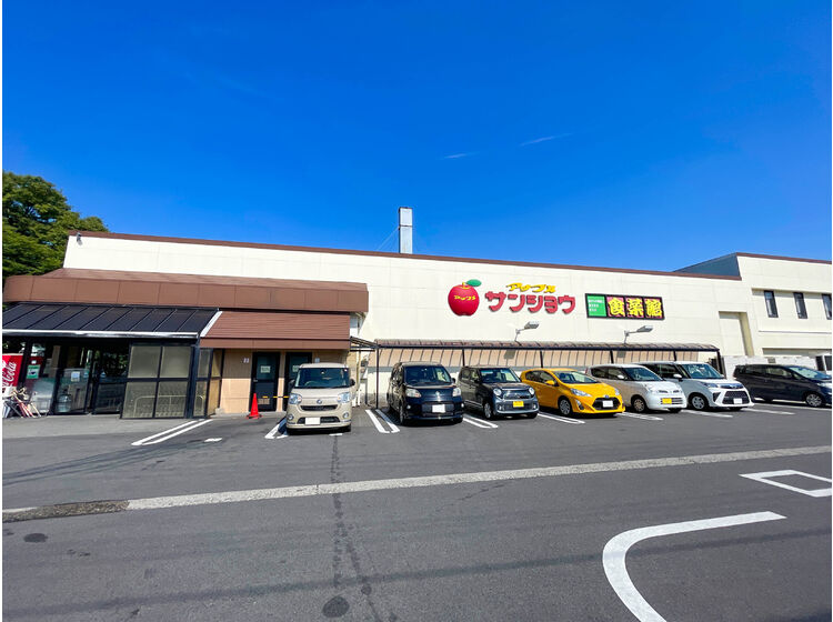 スーパー　アップルサンショウ食菜館新根塚町店（スーパー）まで1278m