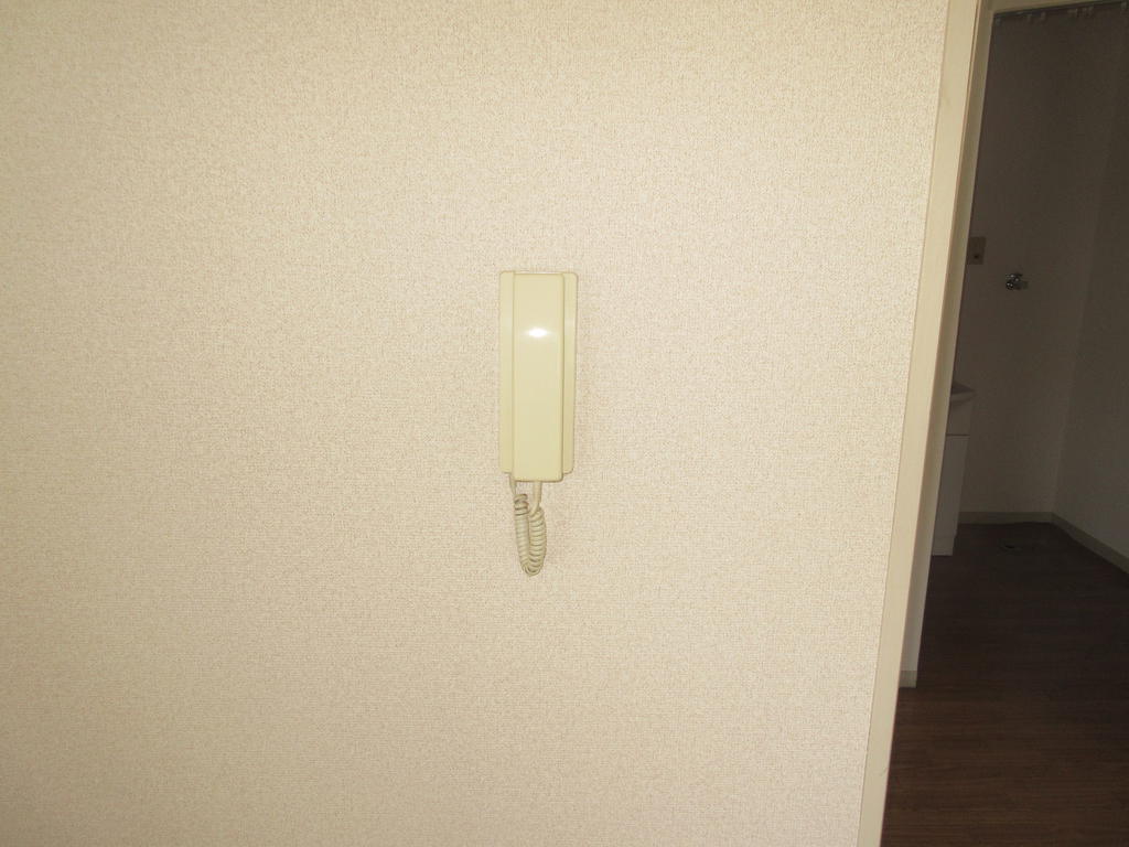 セキュリティ　玄関ドアホン　半面タイプで写真はC１０２号室のもの