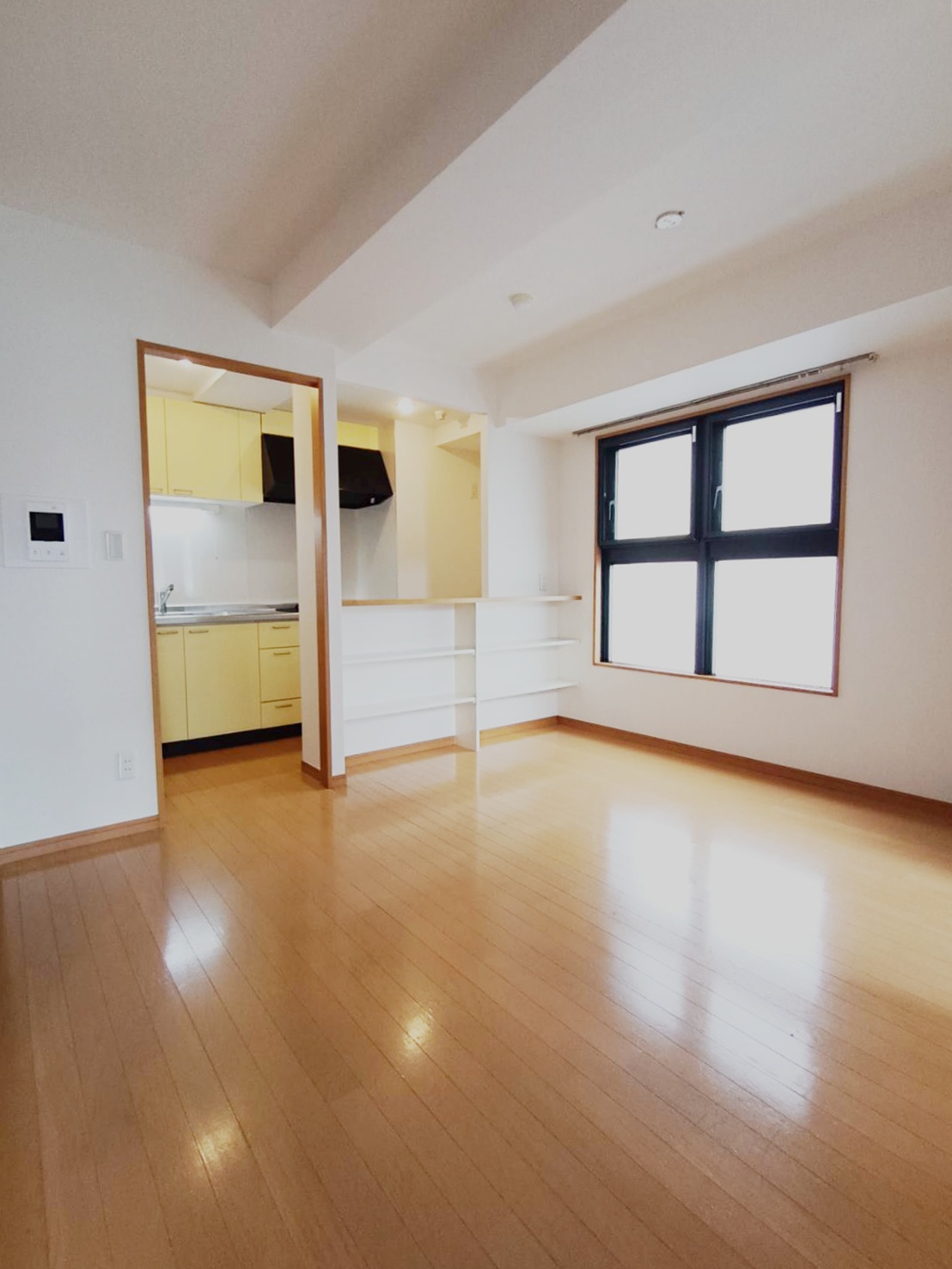 DOMUS COPIAの居間写真