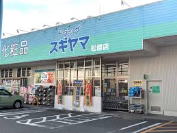 ドラックストア　ドラッグスギヤマ 松原店（ドラッグストア）まで246m