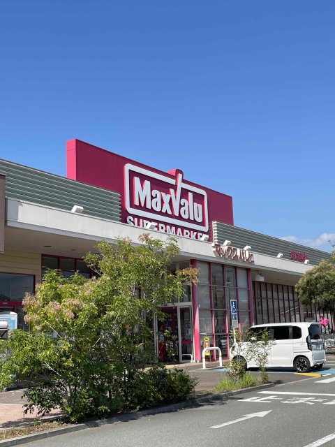 スーパー　マックスバリュ　梅井店（スーパー）まで100m
