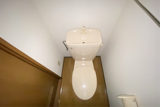 トイレ　※別号室の写真です