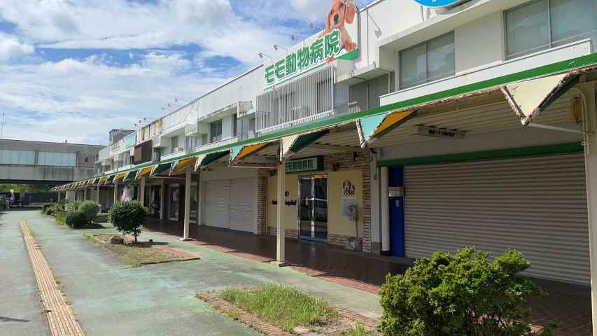 ショッピングセンター　南町マーケット（ショッピングセンター）まで580m