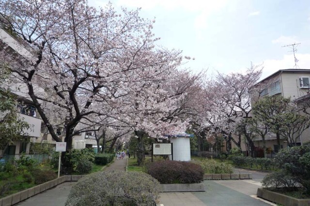 公園　旧呑川緑地（公園）まで1075m
