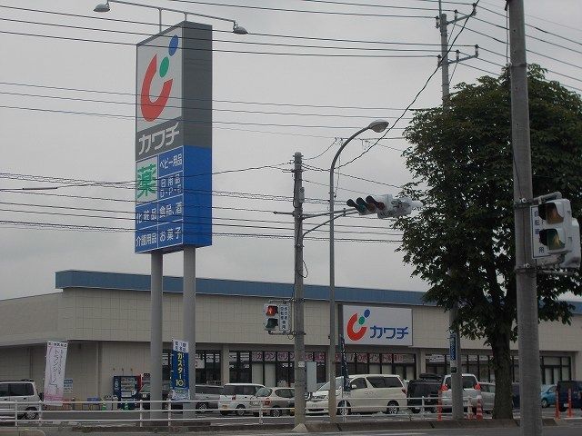 ドラックストア　カワチ（ドラッグストア）まで1100m
