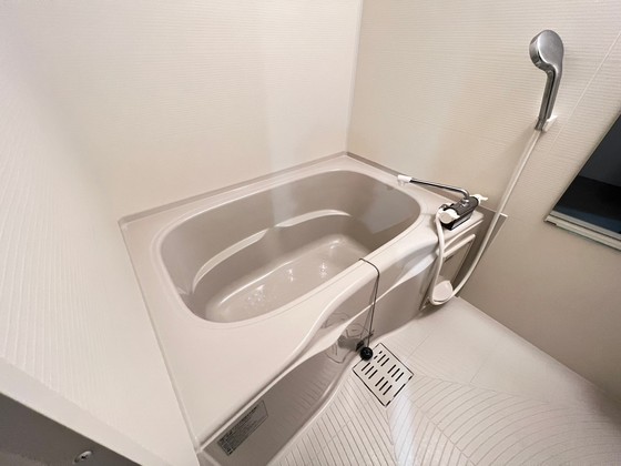 バス・シャワールーム　※別部屋の写真です