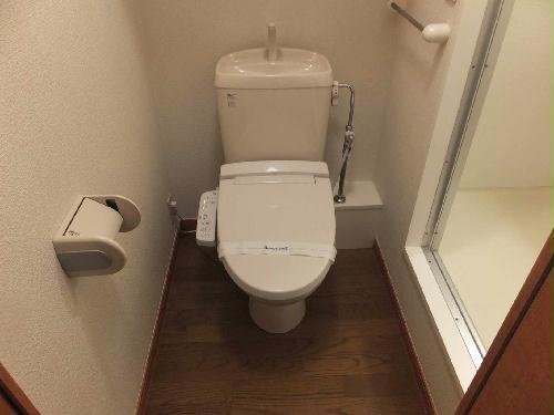 トイレ　温水洗浄便座設置