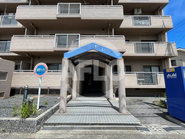 エントランス　メゾンセレナ　エントランス