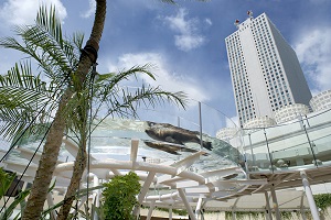 ショッピングセンター　サンシャインシティ（ショッピングセンター）まで225m