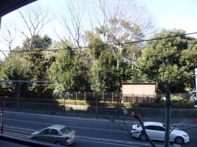 眺望　居室からの風景