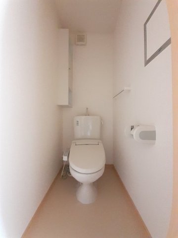 トイレ　トイレも気になるポイント
