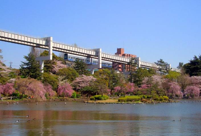 その他　千葉公園（その他）まで572m
