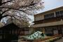小学校　名古屋市立中村小学校（小学校）まで294m