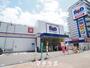 ドラックストア　B&Dドラッグストア 浅間町店（ドラッグストア）まで439m