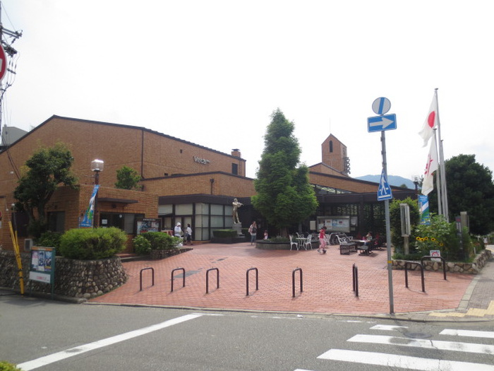 図書館　宝塚市立中央図書館（図書館）まで1100m