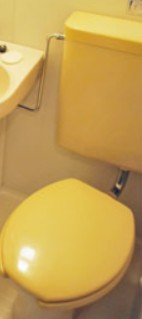 トイレ　トイレです