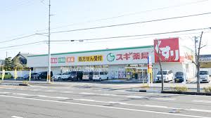 ドラックストア　スギ薬局 竹鼻店（ドラッグストア）まで1337m