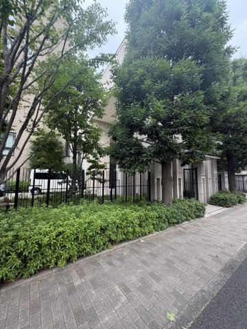 庭