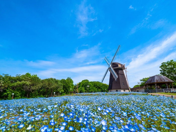 公園　鶴見緑地（公園）まで1700m