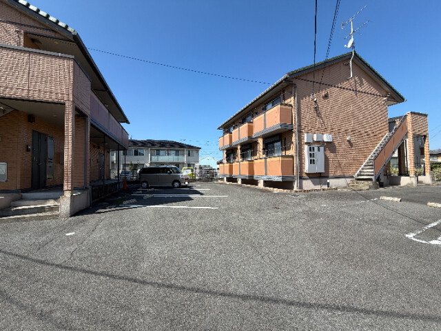 秋桜 Bのその他写真