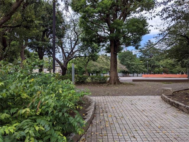 公園　板橋区平和公園（公園）まで172m