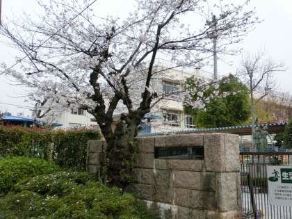 小学校　広島市立神崎小学校（小学校）まで731m