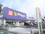ドラックストア　ウェルパーク武蔵砂川店（ドラッグストア）まで1025m