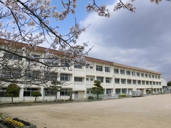 【台東区台東のマンションの小学校】