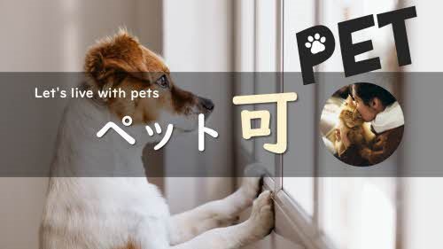 その他　新築なのにペット飼育可能です