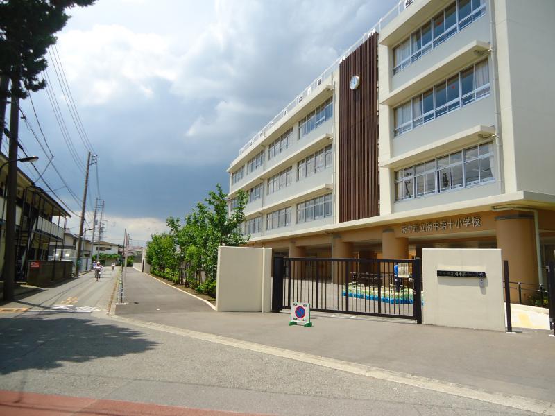 小学校　府中市立府中第十小学校（小学校）まで962m