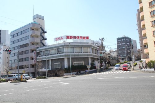 その他　滝野川信用金庫　白山支店（その他）まで591m
