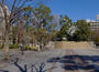 公園　稲毛公園（公園）まで715m