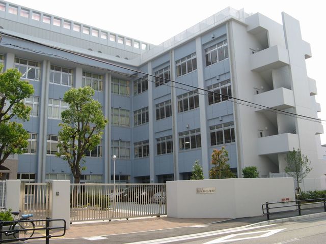 小学校　神戸市立駒ヶ林小学校（小学校）まで388m
